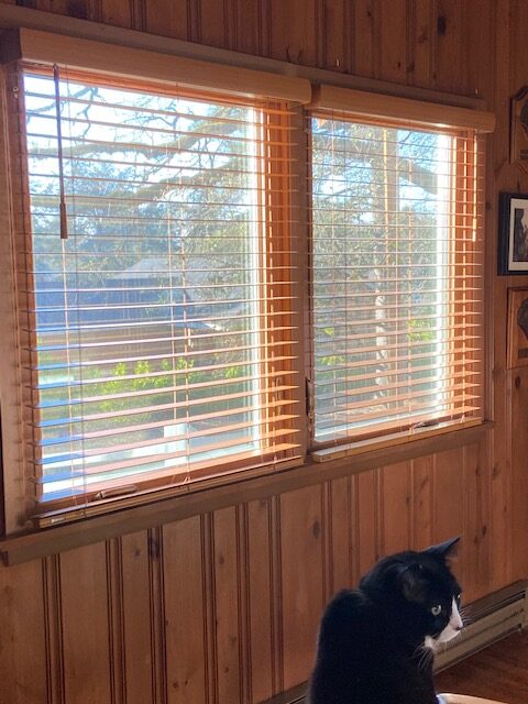 Wood blinds stained (2)